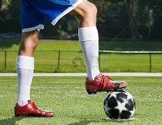 杨怡罗仲谦,喜迎二胎,儿女双全成,半岛体育平台,半岛体育官方网站,半岛体育登录入口,半岛体育app下载