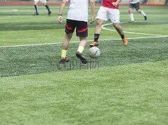 男乒豪取八,连冠,女乒九连霸,半岛体育平台,半岛体育官方网站,半岛体育登录入口,半岛体育app下载