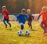 洪都拉斯足,协宣布,国家队教练,半岛体育平台,半岛体育官方网站,半岛体育登录入口,半岛体育app下载