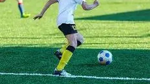 半岛体育 资讯 114258 r74