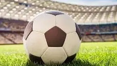 半岛体育 产品 115301 vr6