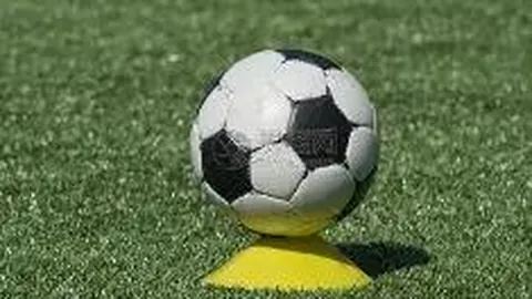 半岛体育 资讯 115308 zpv