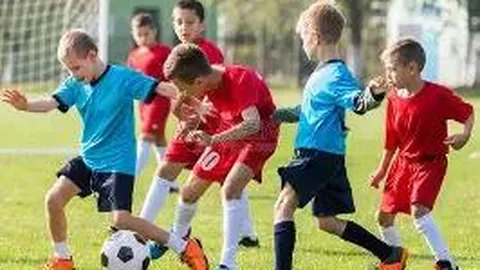 半岛体育 资讯 100258 yu7